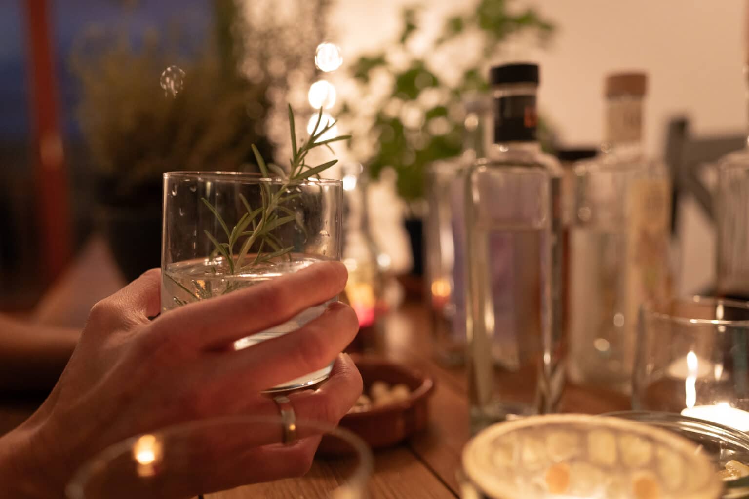 Mountainbike- & Outdoor-Sport-Unterkunft Harz-BnB Werkmeister - Gin-Tasting mit Gins von "Der Luchs", Manufaktur aus Nordhausen