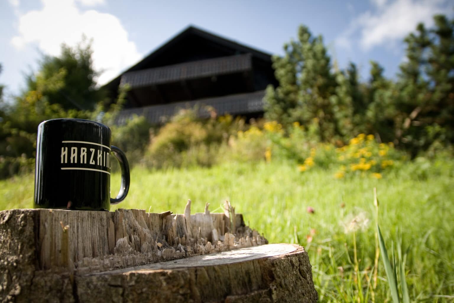 Mountainbike- & Outdoor-Sport-Unterkunft Harz-BnB Werkmeister - Harzkind-Tasse im Garten vor dem BnB, grünes Gras, blühende Blumen